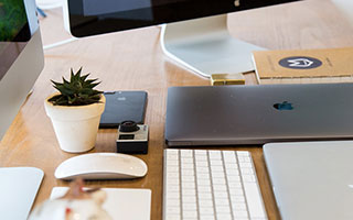 埃及赛制解析：本土赛事如何影响国际大赛表现，埃及联赛