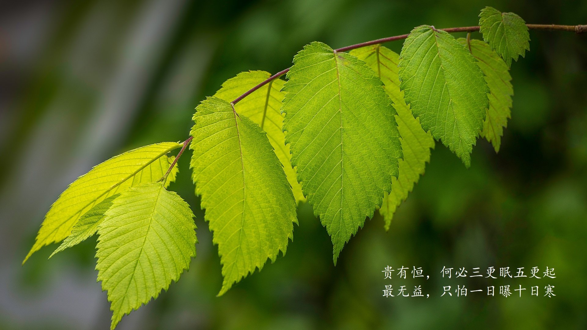 kaiyun开云·官方网站-高校体育选修课程个性化教学模式研究，高校体育课程改革方案