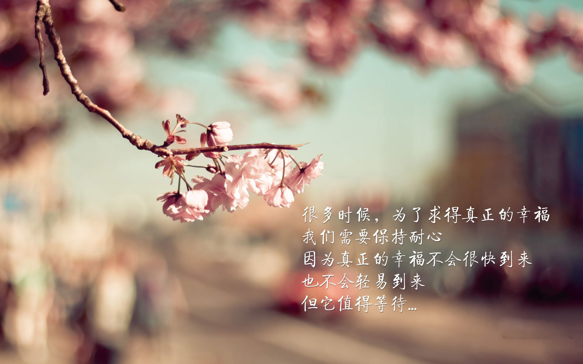 切尔西中场控制全场，节奏掌握精准，切尔西最强中场组合